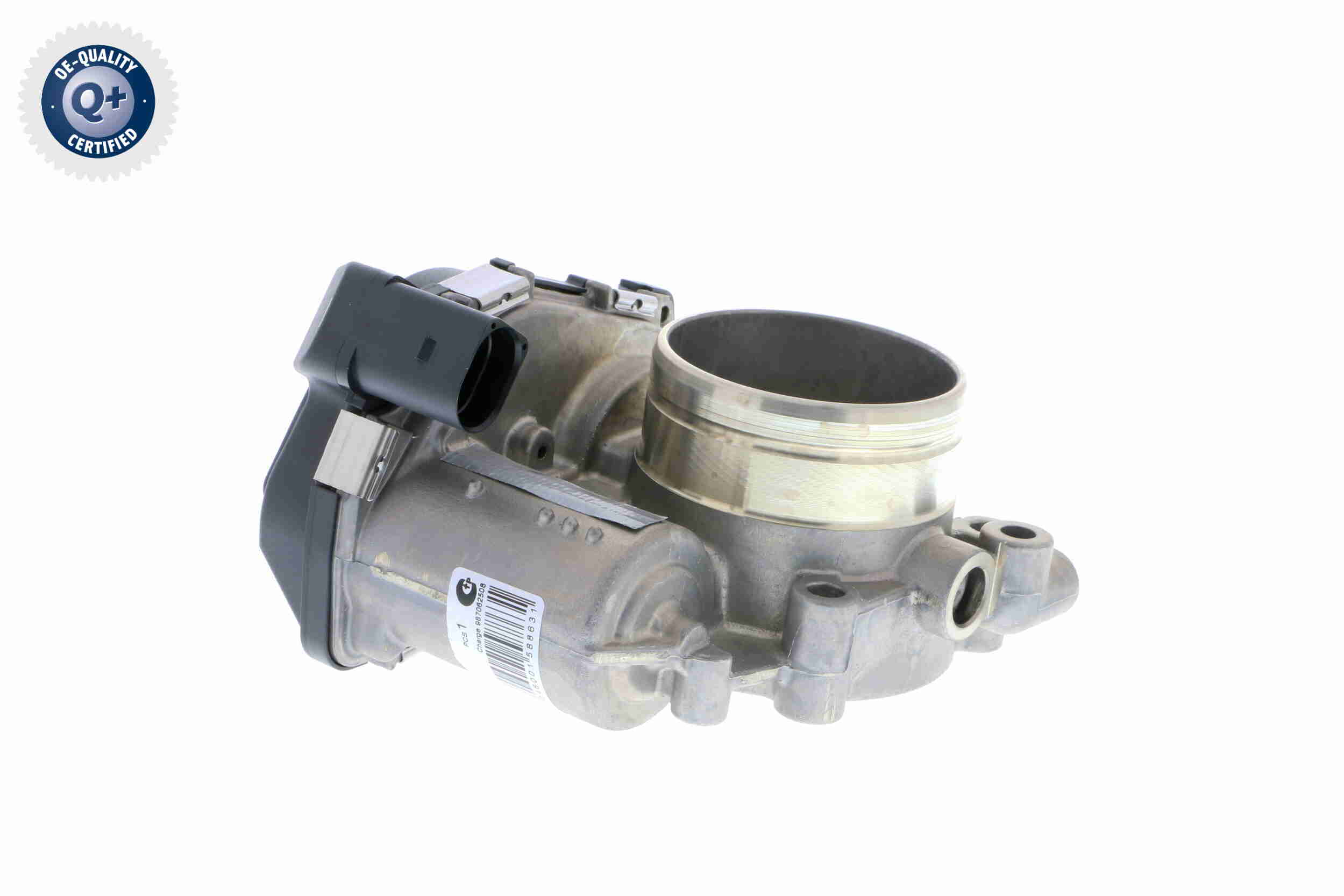 V10-81-0043