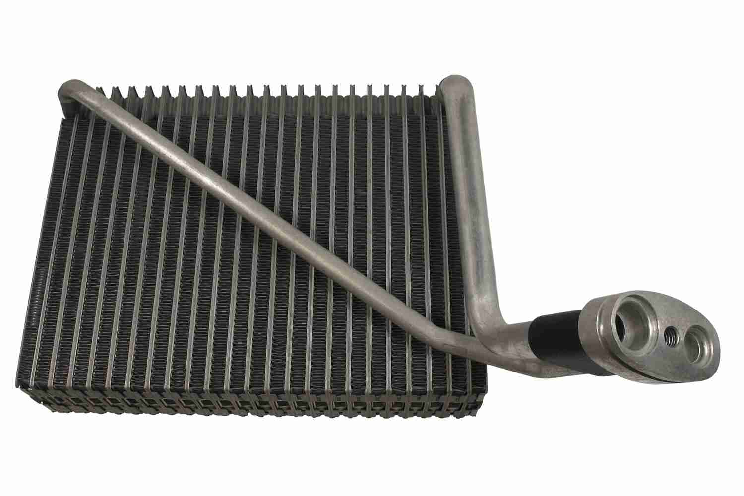 V10-65-0016