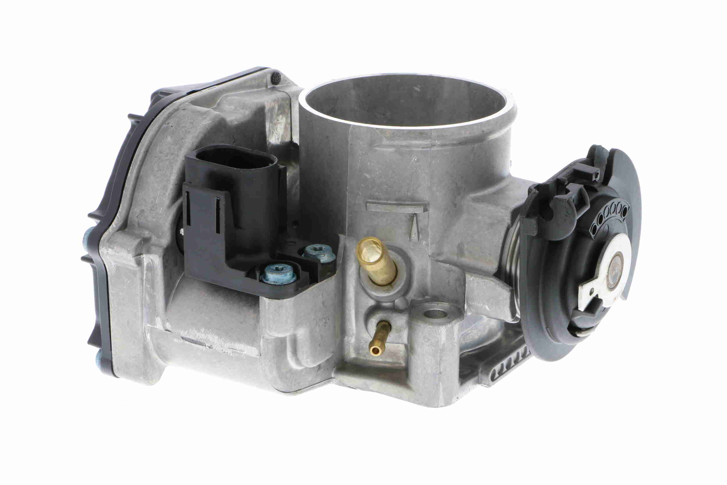 V10-81-0020