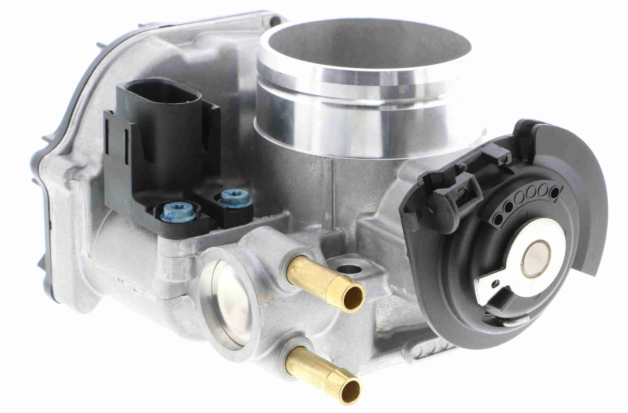 V10-81-0016