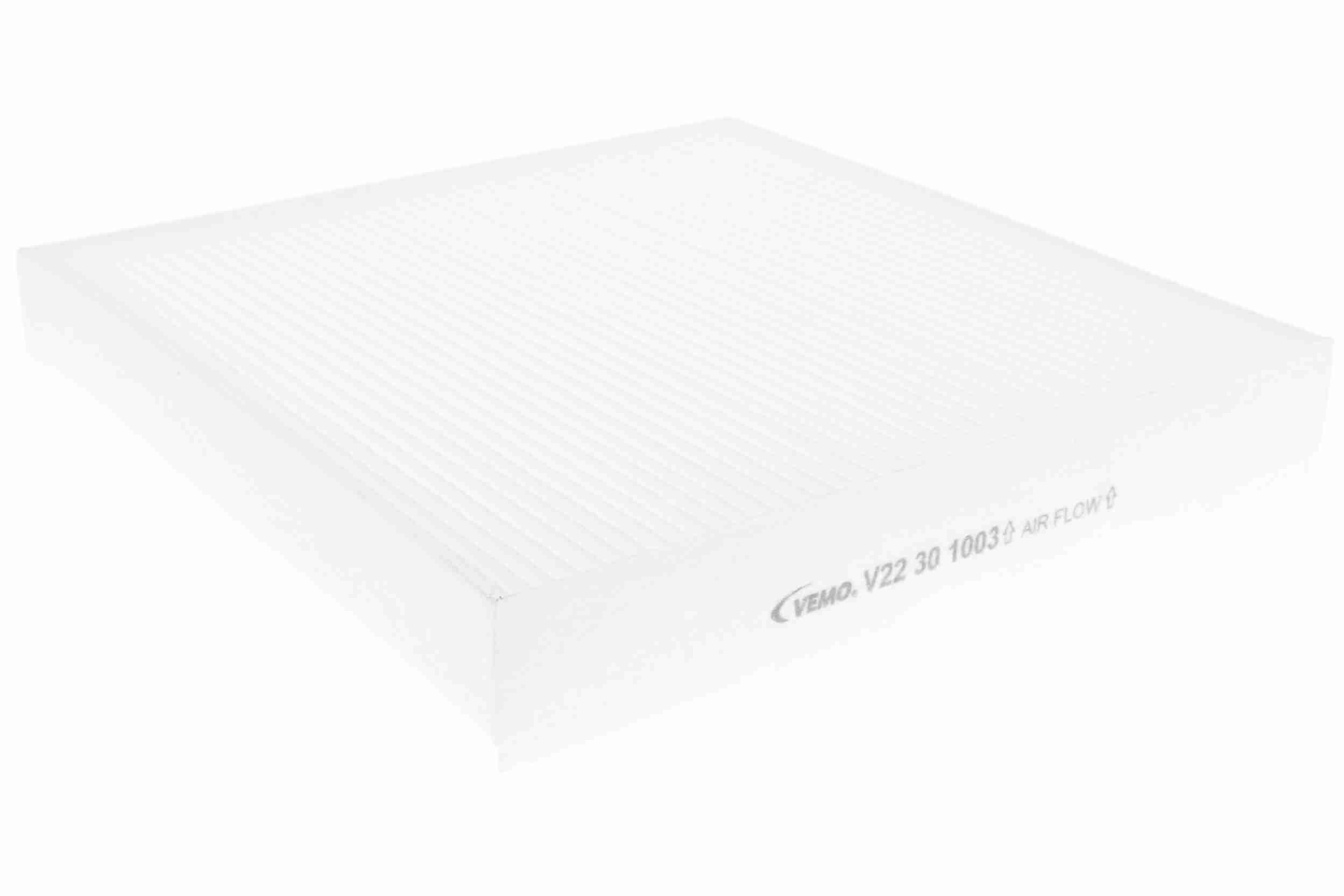 V22301003
