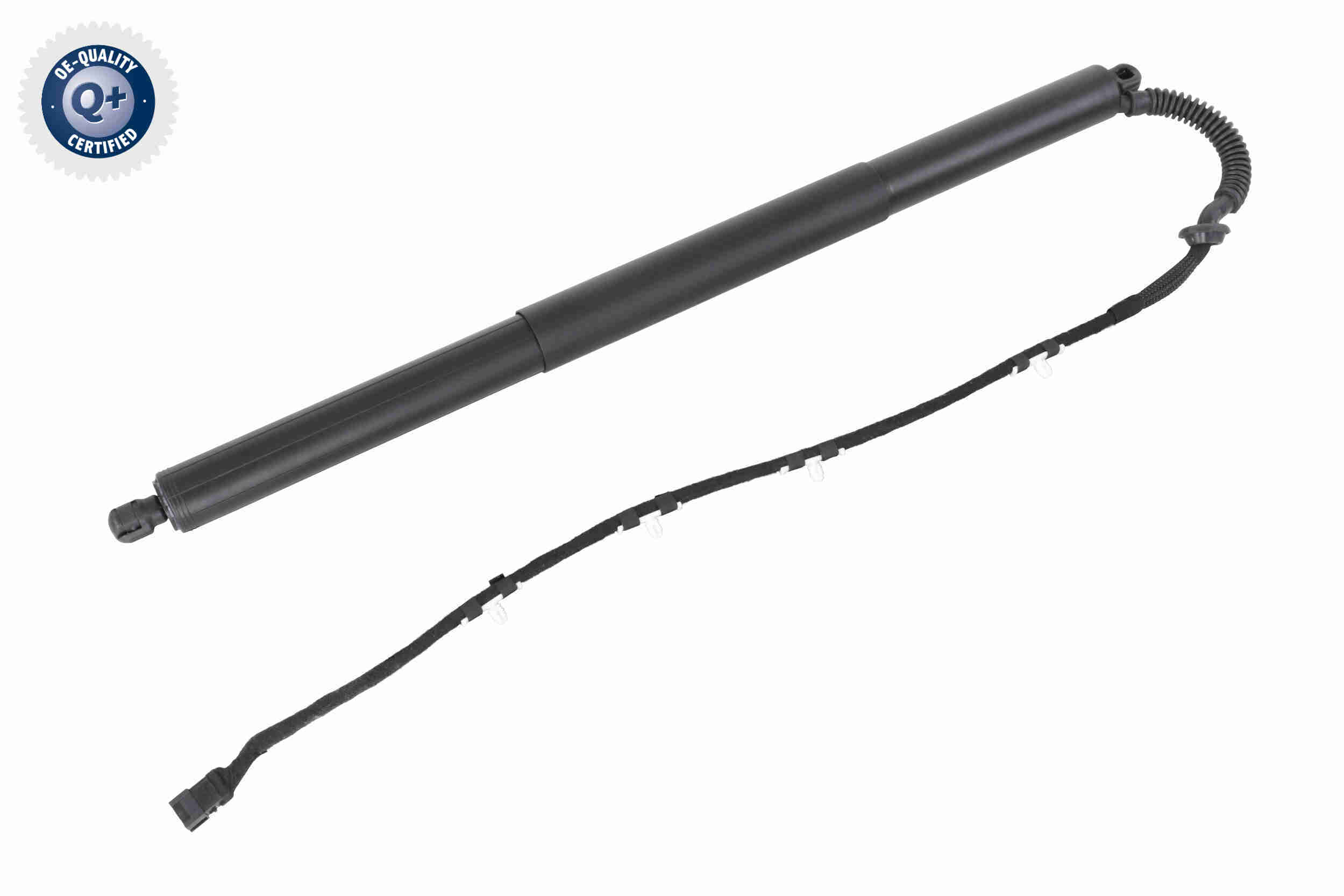 V20-55-0001
