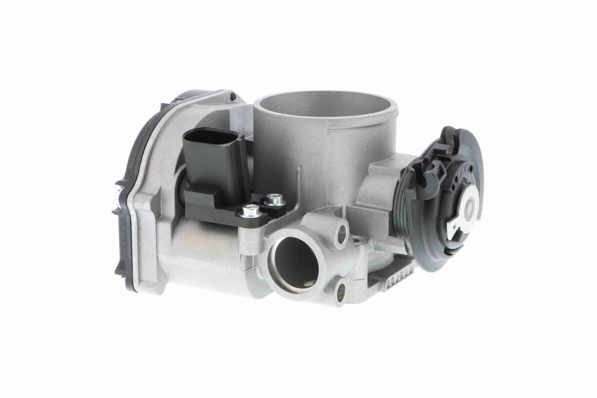 V10-81-0039