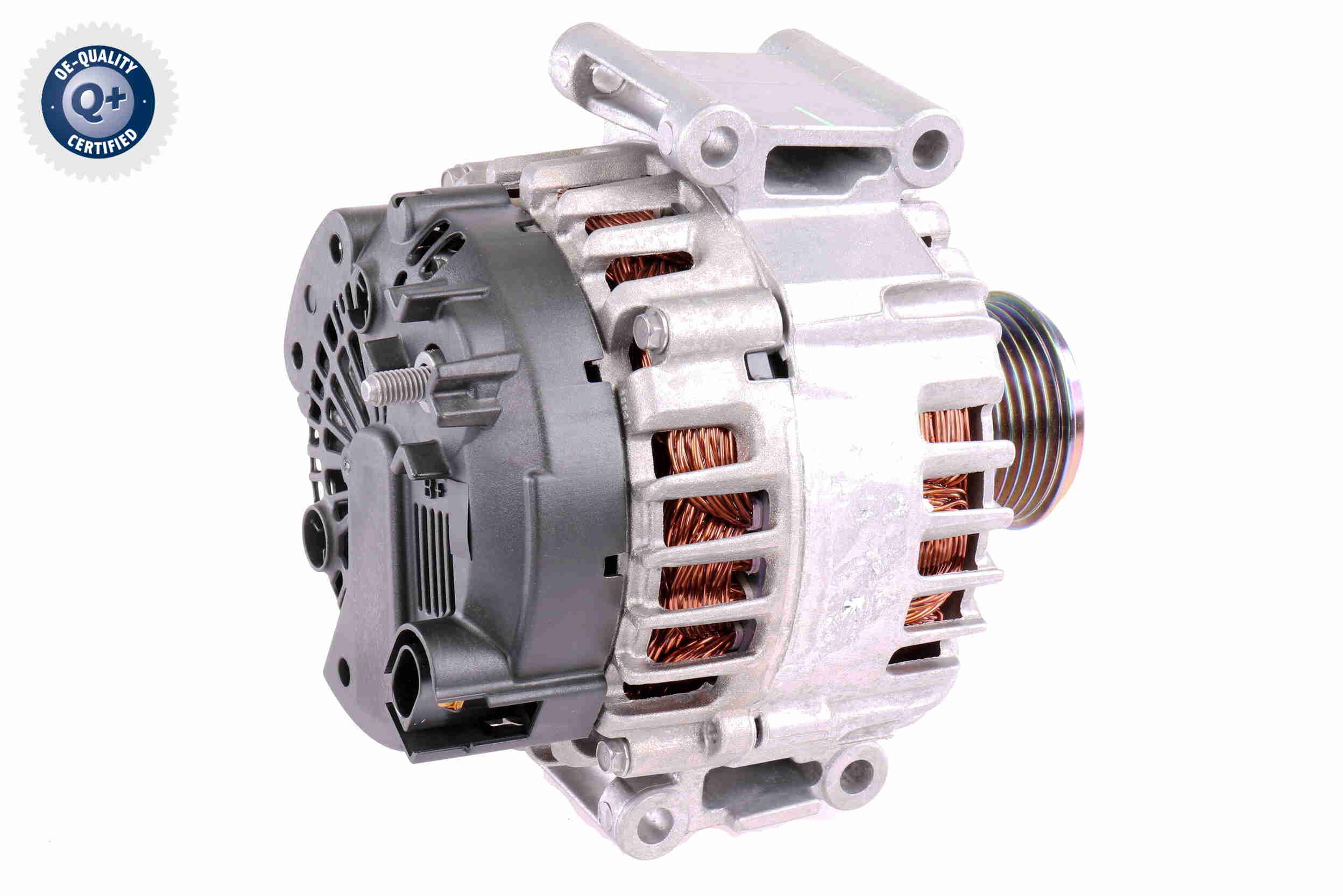 V10-13-50024