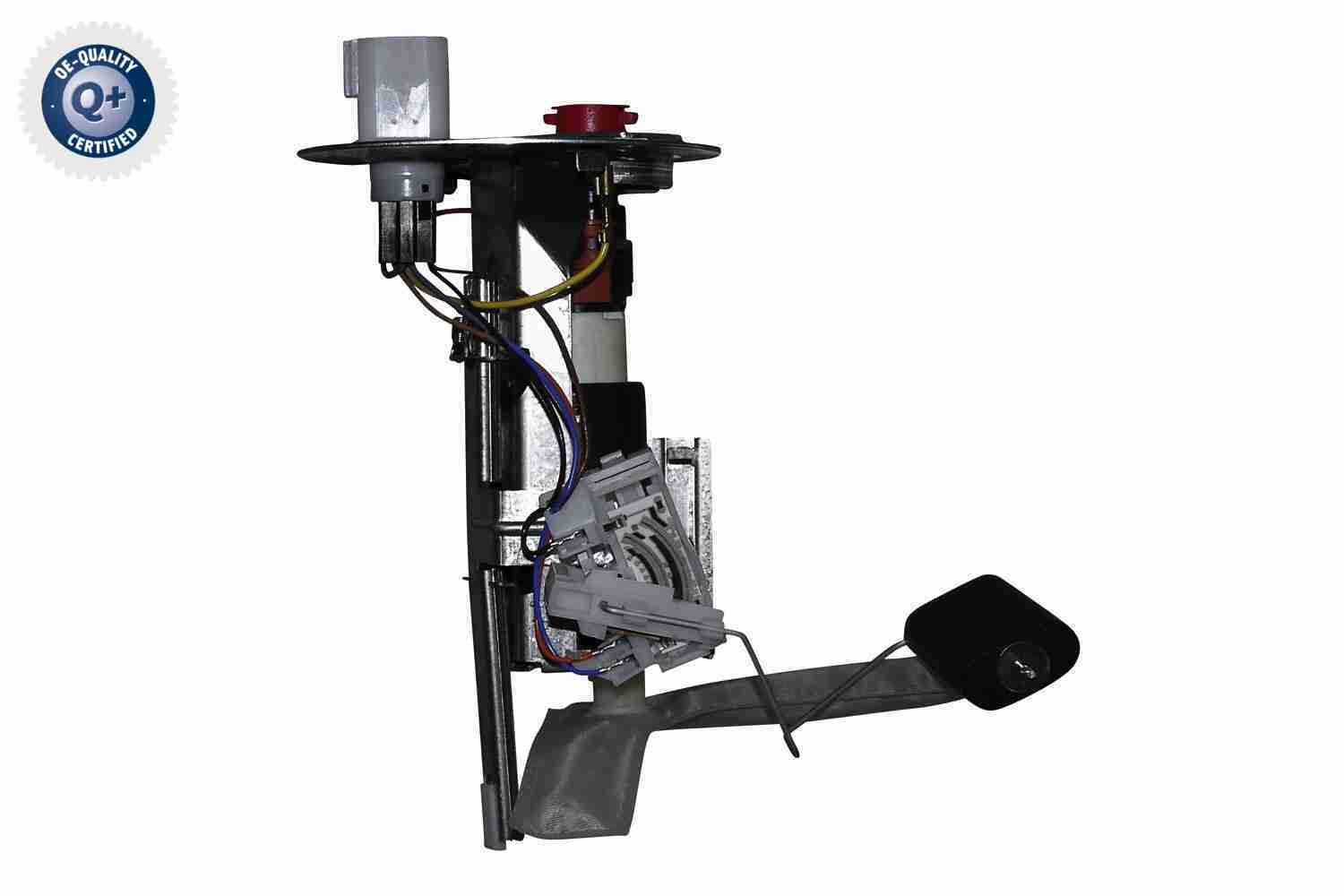 V25-09-0006