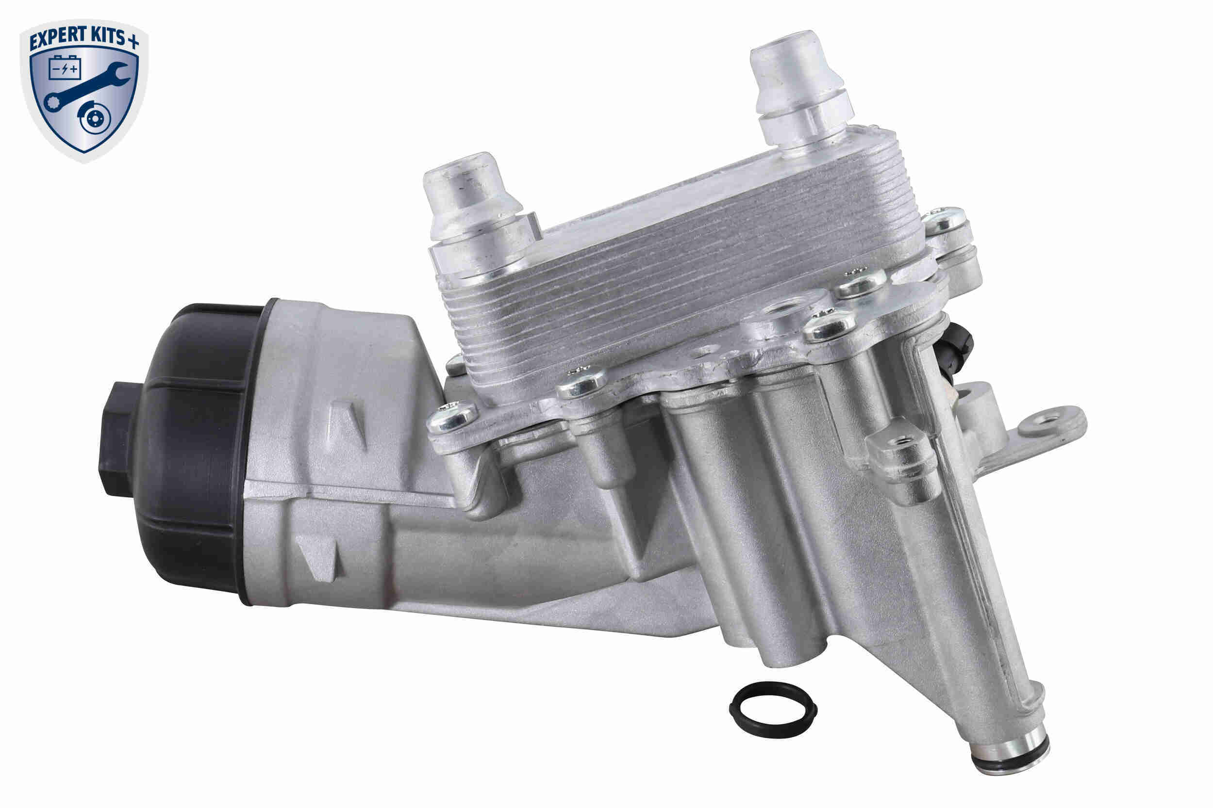V24-60-0019