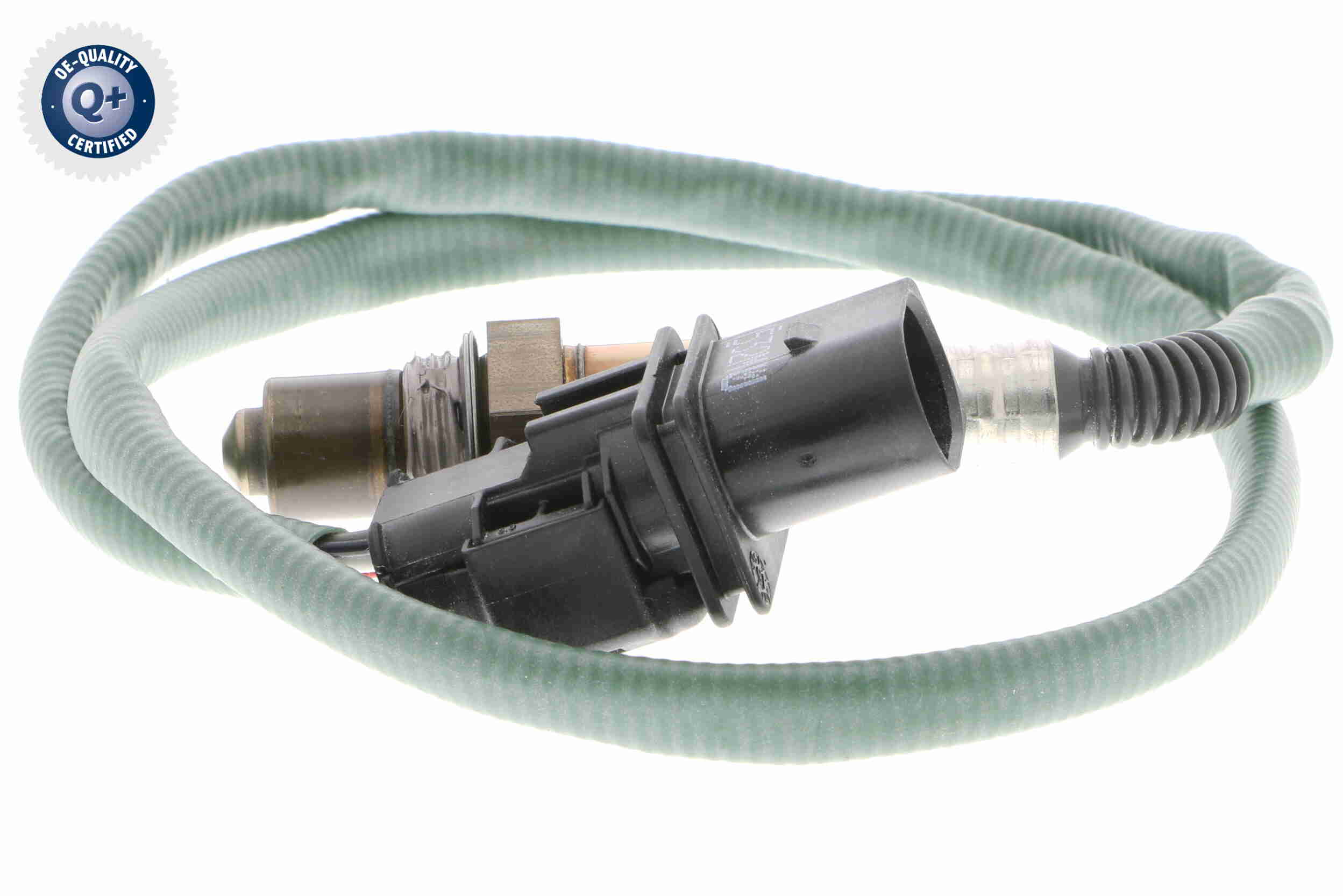 V30-76-0040
