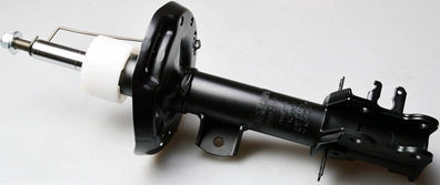 DSB263G