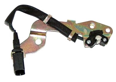 CSS316