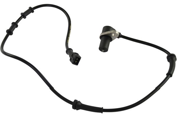 BAS-5554