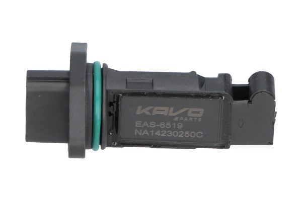 EAS-6519
