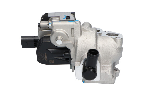 EEG-3026