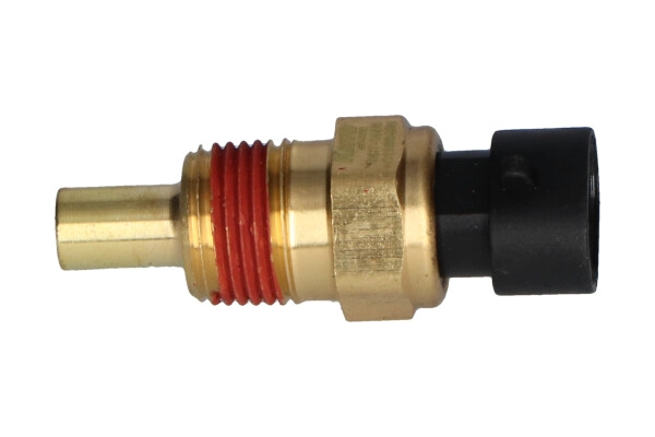ECT-1005