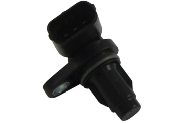 ECA-3012
