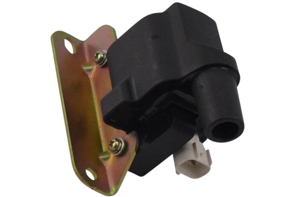 ICC-4539