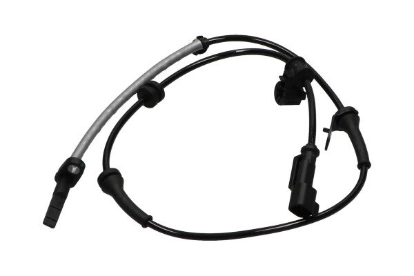 BAS-10006