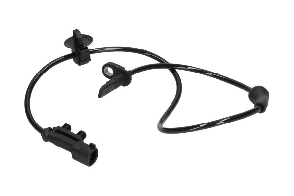 BAS-10004