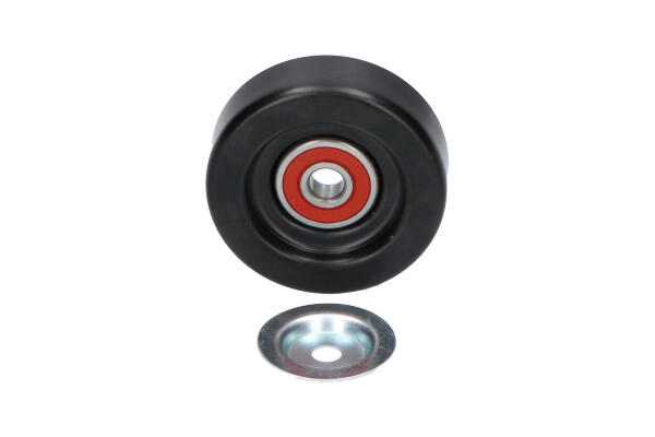 DIP-6509