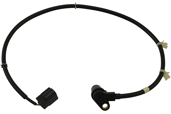 BAS-5581