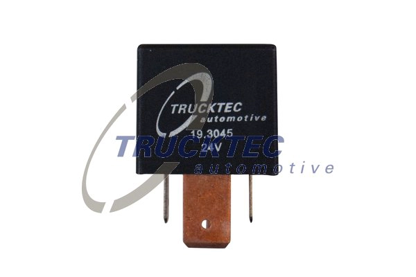 20390648