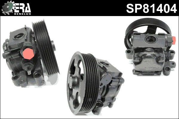 SP81404