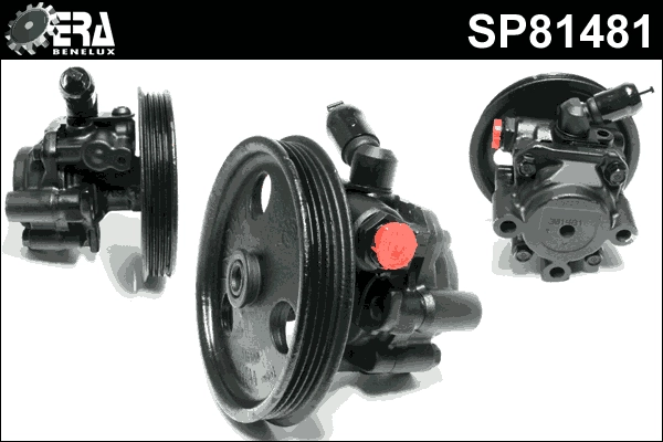 SP81481