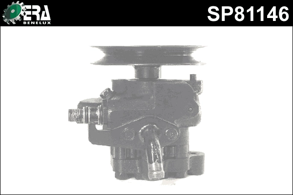 SP81146