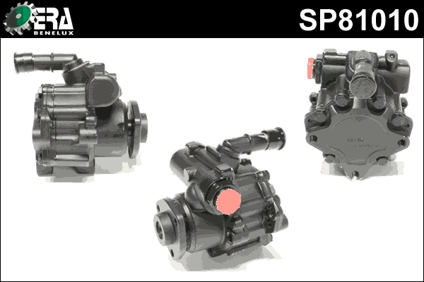 SP81010