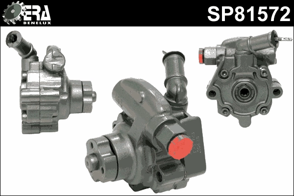 SP81572