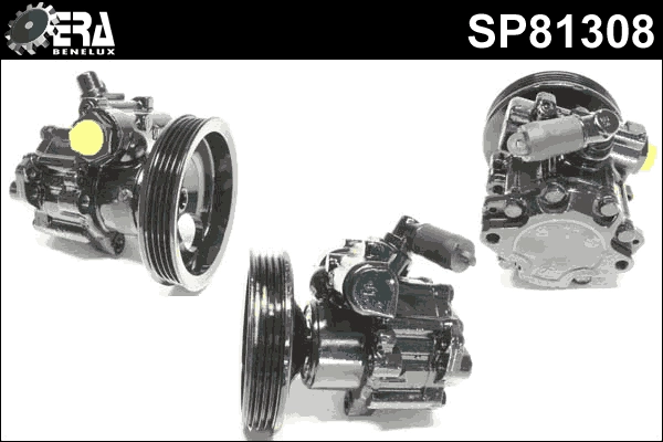 SP81308