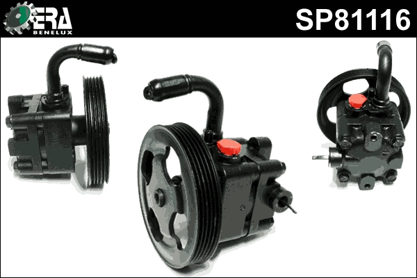 SP81116
