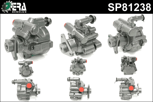 SP81238