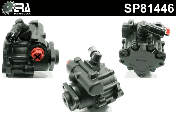 SP81446