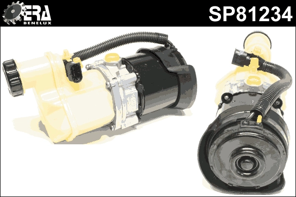 SP81234