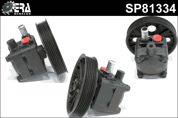 SP81334
