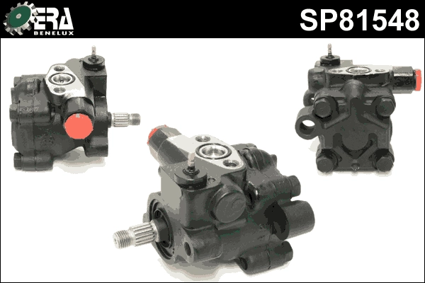 SP81548