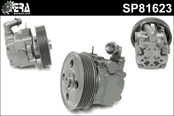 SP81623