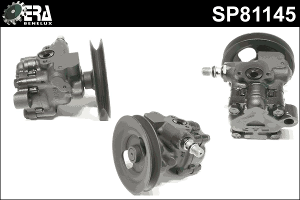 SP81145
