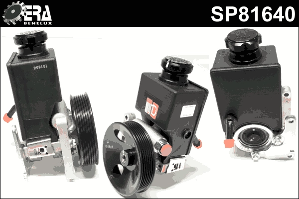 SP81640