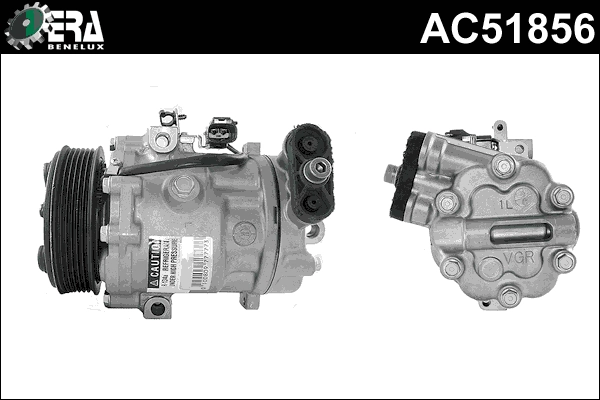 AC51856