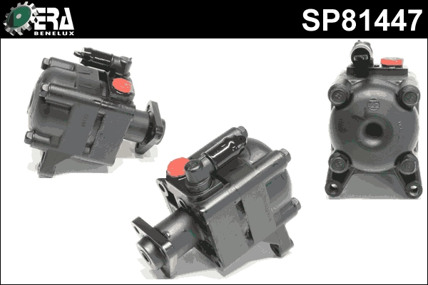 SP81447