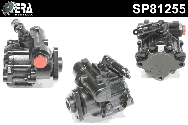 SP81255