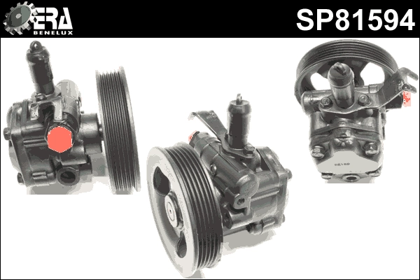 SP81594