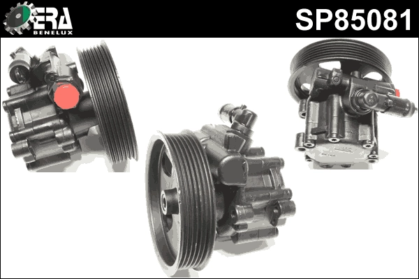 SP85081