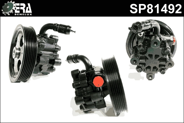 SP81492