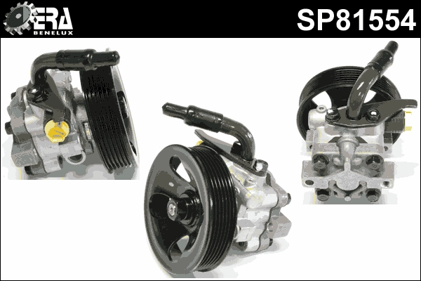 SP81554