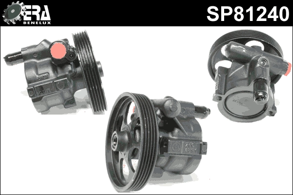SP81240