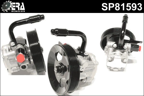 SP81593