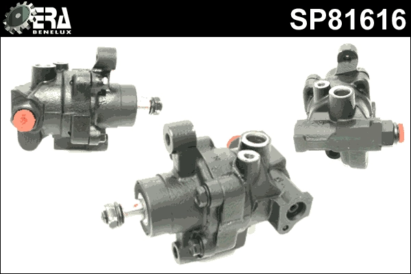 SP81616