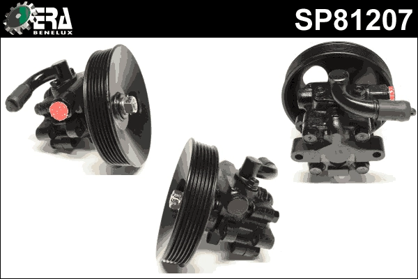 SP81207